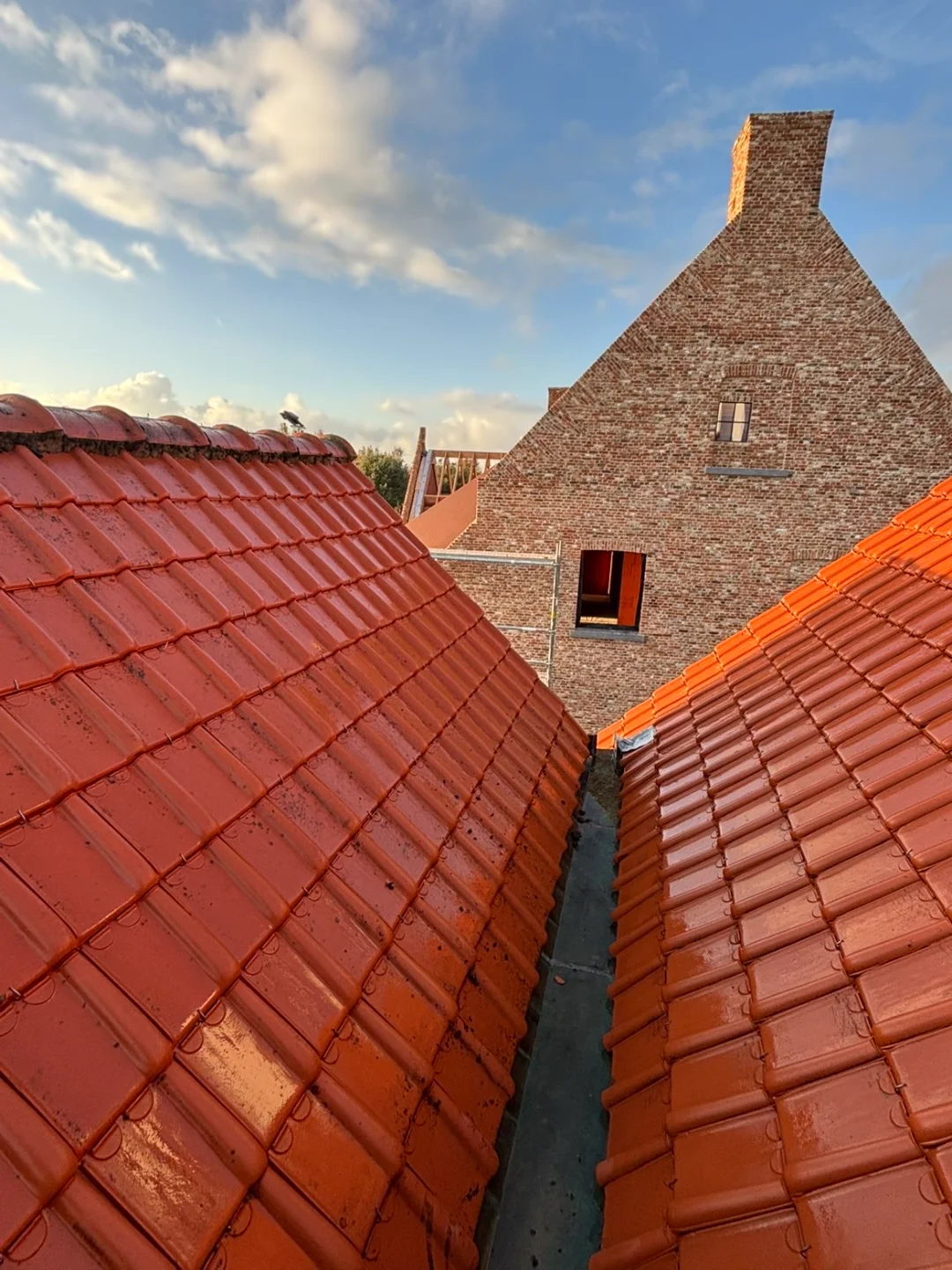 Dakpannen na reiniging door Renovivo Schoongemaakte rode dakpannen met zichtbare glans na professionele dakreiniging door Renovivo in West- en Oost-Vlaanderen.
